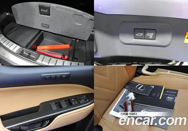 Lexus NX350h 2024 — Photo 6/20