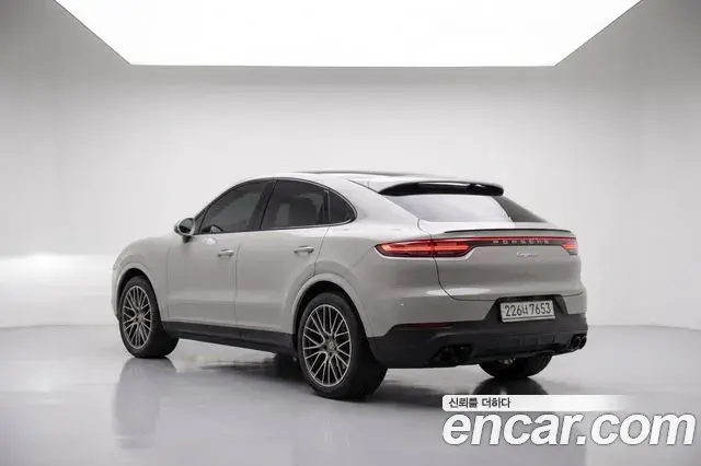 Porsche Cayenne 2020 — ფოტო 8/20