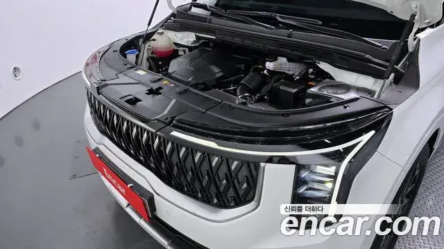 Kia Carnival 2024 — ფოტო 17/20