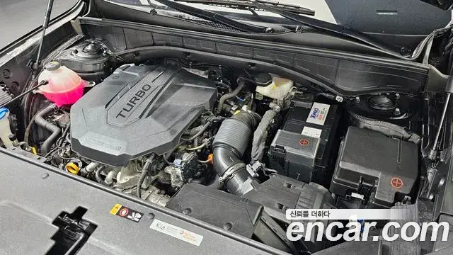 Kia Sorento 2023 — Фото 6/20