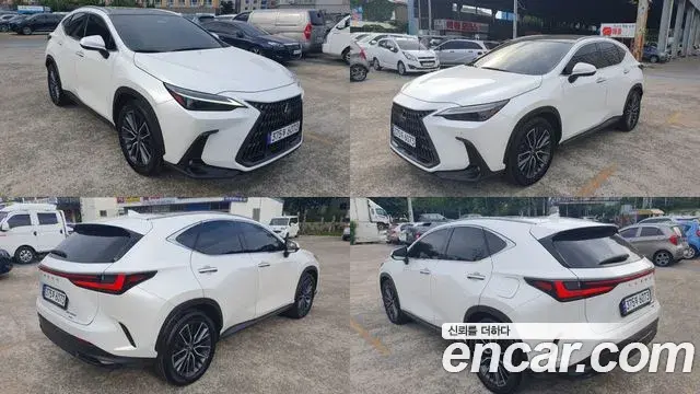 Lexus NX350h 2023 — Şəkil 16/18