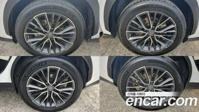 Lexus NX350h 2023 — Şəkil 5/18
