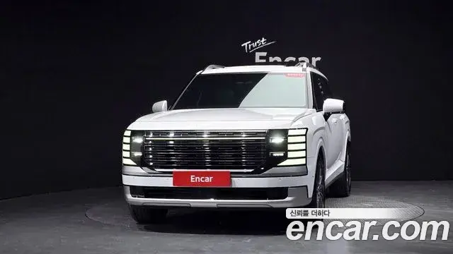 Hyundai Palisade 2025 — ფოტო 30/33