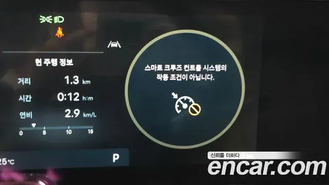 Hyundai Palisade 2025 — ფოტო 25/36