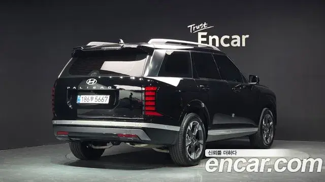 Hyundai Palisade 2025 — ფოტო 34/35