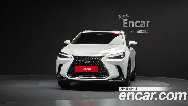 Lexus NX350h 2024 — Photo 7/31