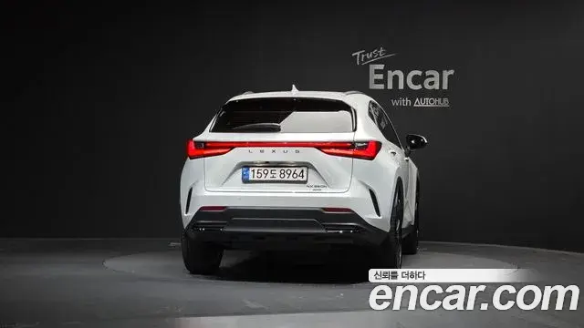 Lexus NX350h 2024 — Photo 22/31