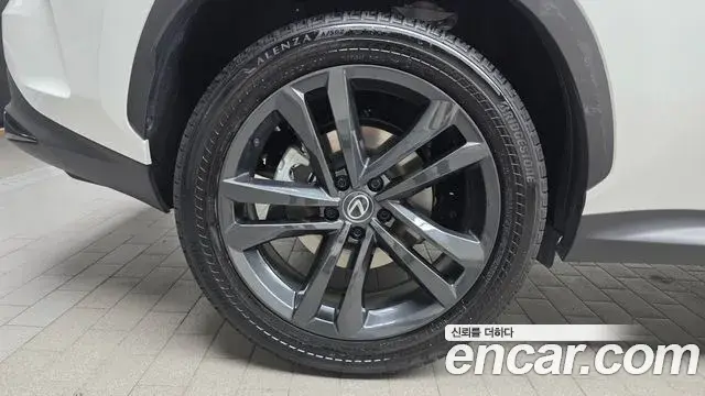 Lexus NX350h 2024 — Photo 17/31