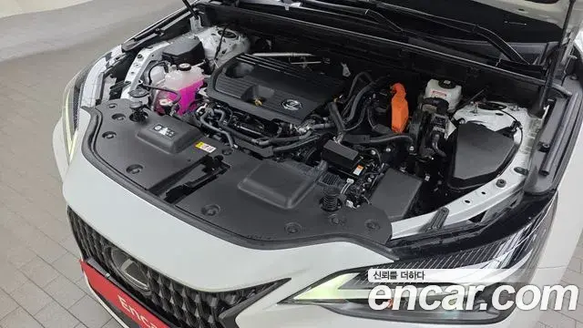 Lexus NX350h 2024 — Photo 25/31