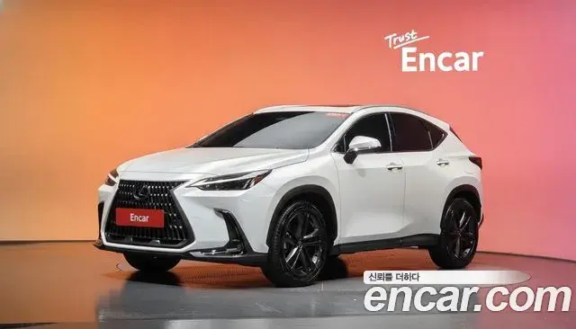 Lexus NX350h 2024 — Photo 12/31