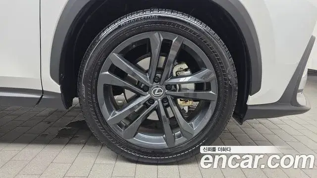Lexus NX350h 2024 — Photo 28/31