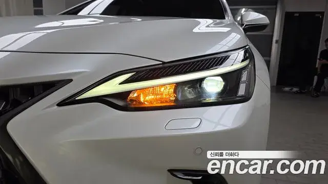 Lexus NX350h 2024 — Photo 30/31
