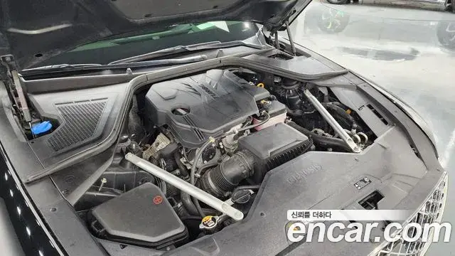 Genesis G80 2020 — Şəkil 29/37