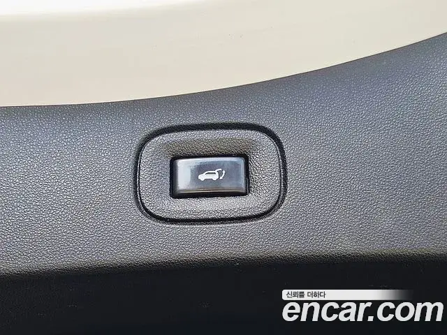 Renault Samsung QM6 2019 — ფოტო 7/19