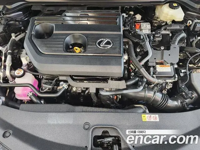 Lexus UX300h 2025 — Şəkil 5/19