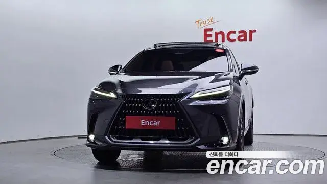 Lexus NX350h 2025 — Şəkil 22/33