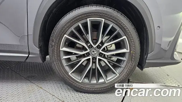 Lexus NX350h 2025 — Şəkil 32/33