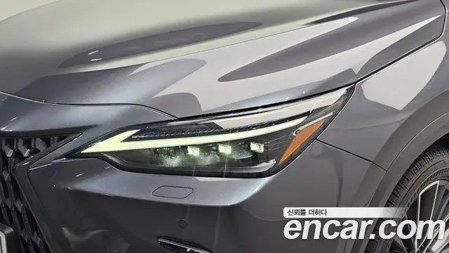 Lexus NX350h 2025 — Şəkil 7/33