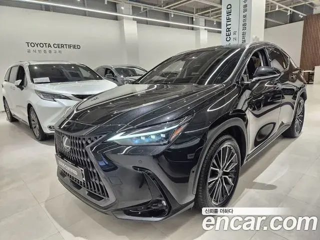 Lexus NX350h 2025 — Şəkil 2/20