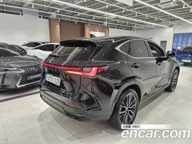 Lexus NX350h 2025 — Şəkil 16/20
