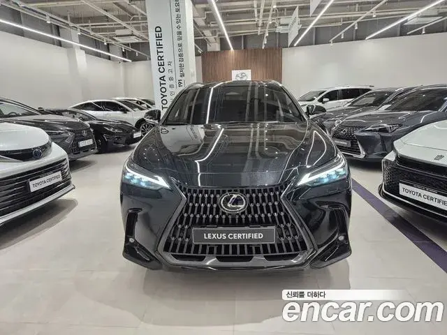 Lexus NX350h 2025 — Şəkil 8/20