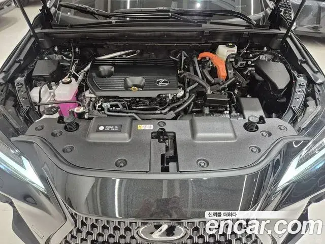 Lexus NX350h 2025 — Şəkil 10/20
