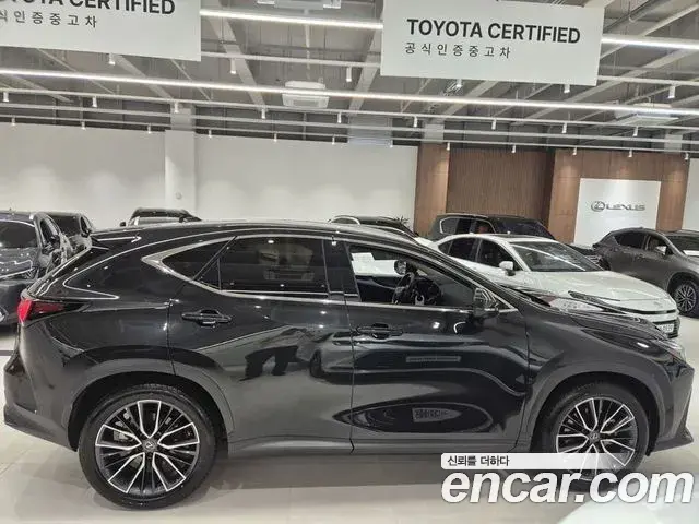 Lexus NX350h 2025 — Şəkil 19/20