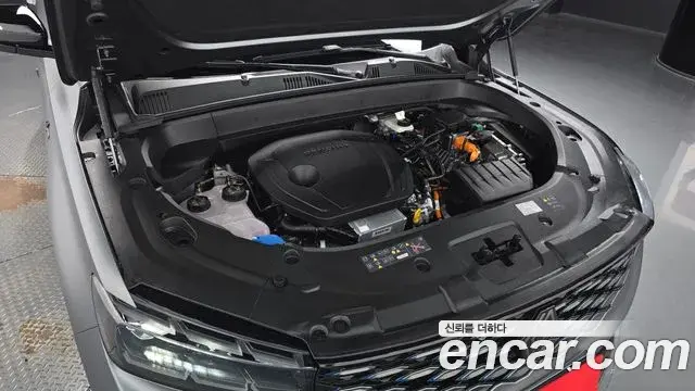 Renault Samsung Grand Koleos 2025 — Фото 6/20