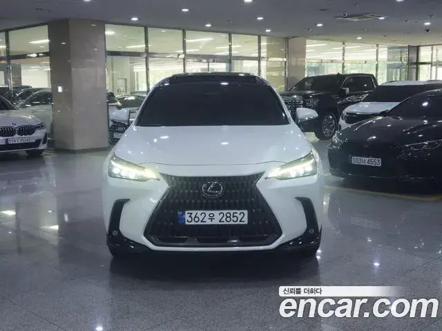 Lexus NX350h 2024 — Photo 6/20