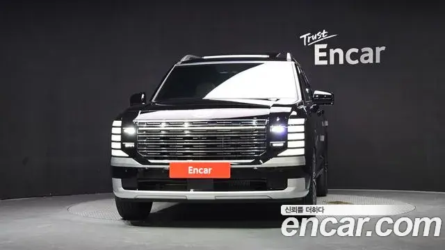 Hyundai Palisade 2025 — Photo 14/20