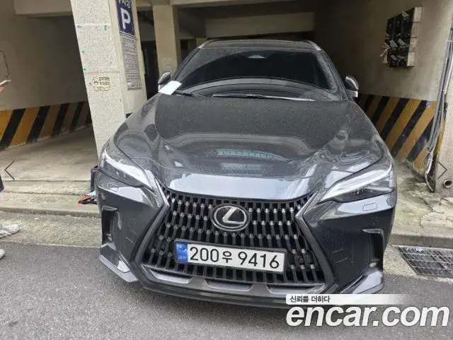 Lexus NX350h 2024 — ფოტო 1/20