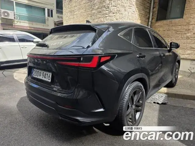 Lexus NX350h 2024 — ფოტო 8/20