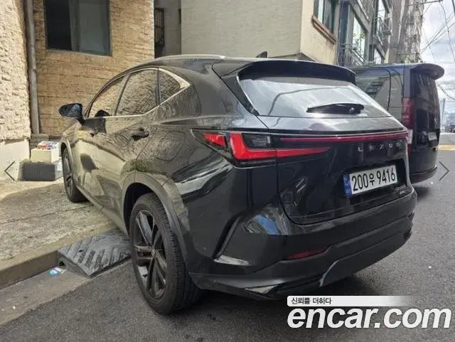 Lexus NX350h 2024 — ფოტო 2/20