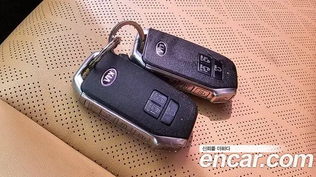 Kia Carnival 2020 — Photo 13/20