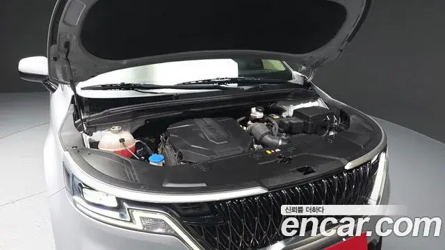Kia Carnival 2021 — Photo 5/20