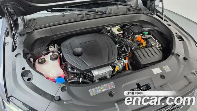Renault Samsung Grand Koleos 2024 — ფოტო 18/36