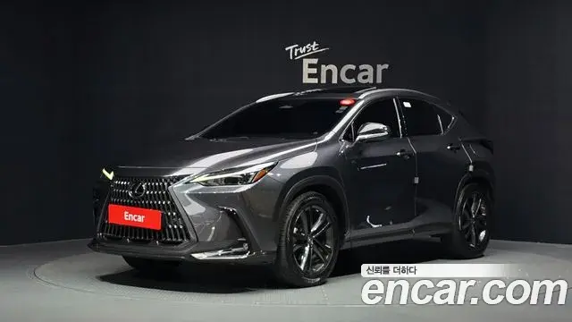 Lexus NX350h 2023 — ფოტო 32/33