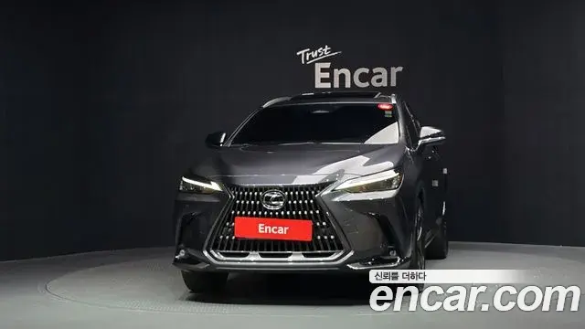 Lexus NX350h 2023 — ფოტო 9/33