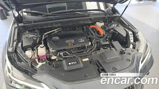 Lexus NX350h 2023 — ფოტო 24/33