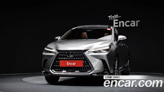 Lexus NX350h 2025 — ფოტო 18/20