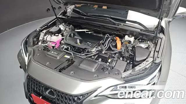 Lexus NX350h 2025 — ფოტო 6/20