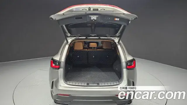 Lexus NX350h 2025 — ფოტო 4/20