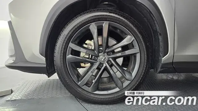 Lexus NX350h 2023 — ფოტო 10/20