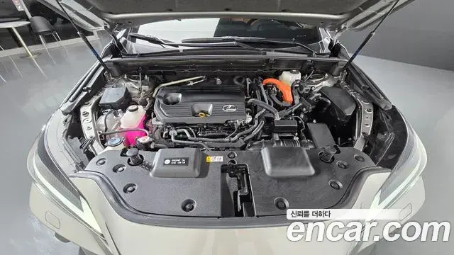 Lexus NX350h 2023 — ფოტო 18/20