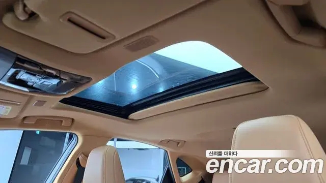 Lexus NX350h 2023 — ფოტო 19/20