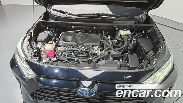 Toyota RAV4 2020 — Photo 6/20