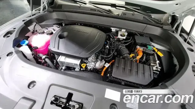 Renault Samsung Grand Koleos 2024 — Şəkil 1/20
