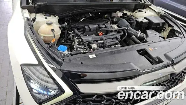 Kia Sportage 2023 — Photo 13/20