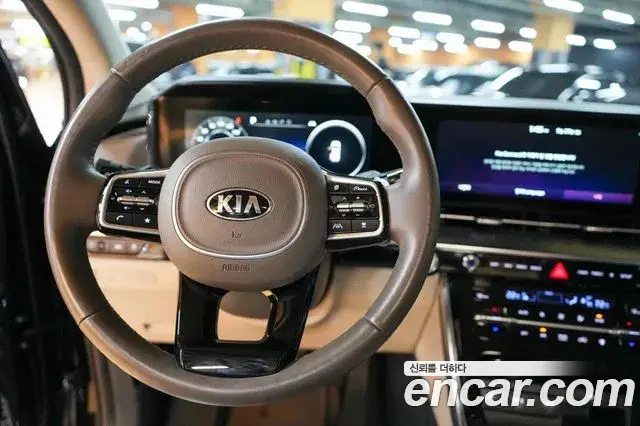Kia Carnival 2021 — ფოტო 5/20