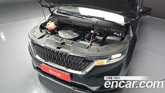 Kia Carnival 2021 — ფოტო 13/20